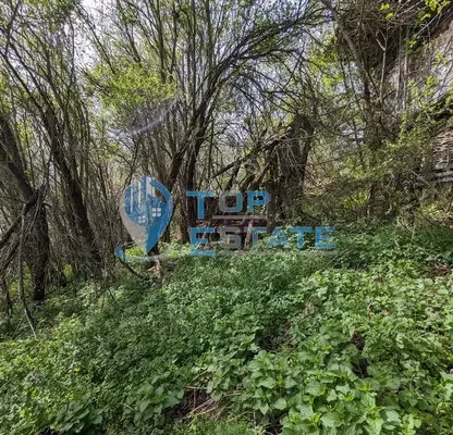 Photo 5 — Plot in Oblast Veliko Tyrnovo, Elena
