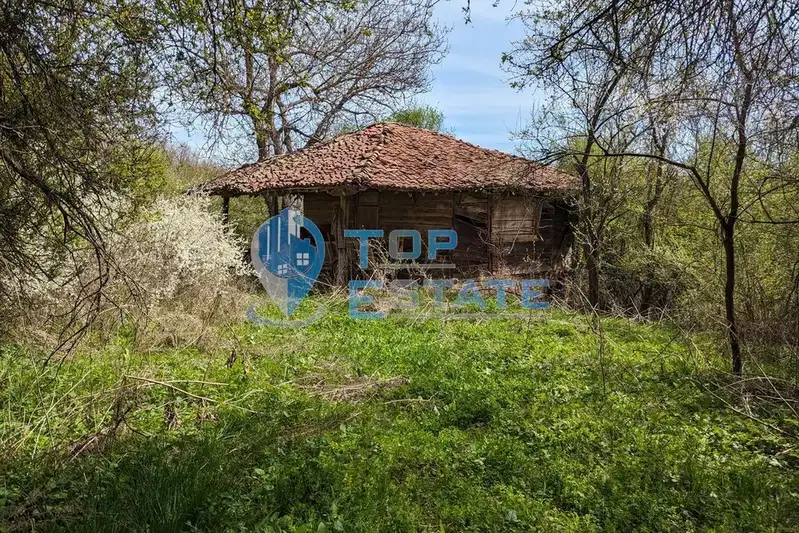 Парцел във Велико Търново, Елена