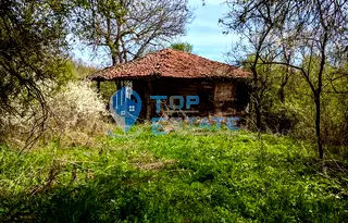 Парцел във Велико Търново, Елена