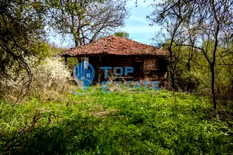 Парцел във Велико Търново, Елена