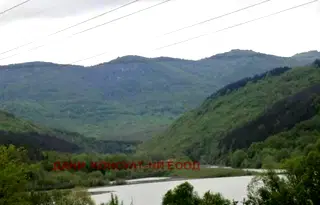 Парцел във Велико Търново, Елена