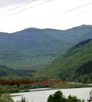 Парцел във Велико Търново, Елена