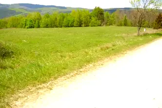 Парцел във Велико Търново, Елена