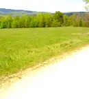 Парцел във Велико Търново, Елена