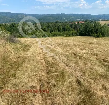 Снимка 3 — Парцел във Велико Търново, Елена