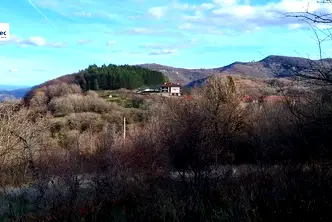 Парцел във Велико Търново, Елена