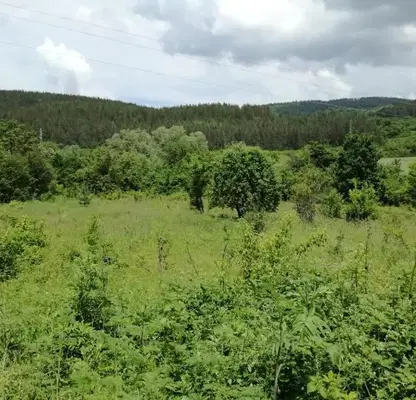 Photo 4 — Plot in Veliko Tyrnovo, Elena