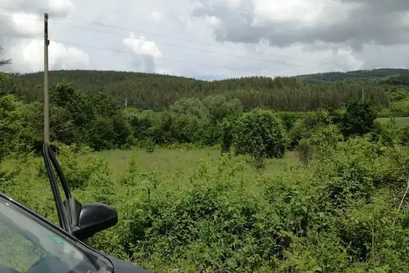 Plot in Veliko Tyrnovo, Elena