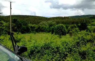 Парцел във Велико Търново, Елена