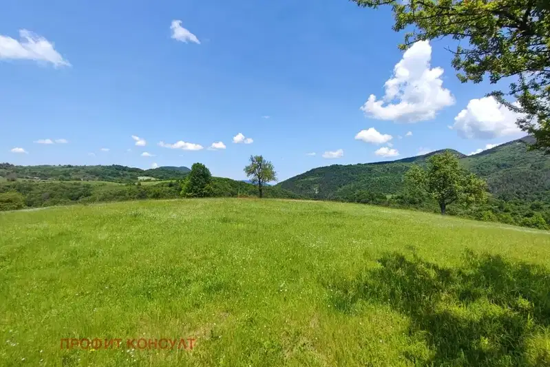 Парцел във Велико Търново, Елена