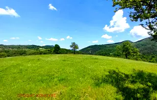 Парцел във Велико Търново, Елена