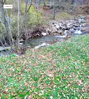 Парцел във Велико Търново, Елена