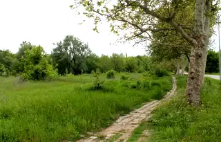 Парцел във Велико Търново, Горна Оряховица