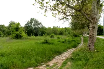 Парцел във Велико Търново, Горна Оряховица