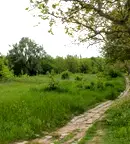Парцел във Велико Търново, Горна Оряховица