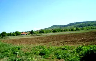 Парцел във Велико Търново, Горна Оряховица