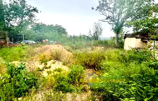 Парцел във Велико Търново, Горна Оряховица