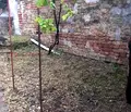 Снимка 4 — Парцел във Велико Търново, Горна Оряховица