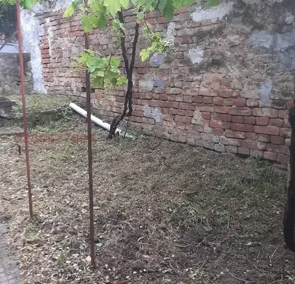 Photo 3 — Plot in Veliko Tyrnovo, Gorna Oryahovica