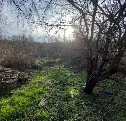 Photo 4 — Plot in Oblast Veliko Tyrnovo, Kilifarevo