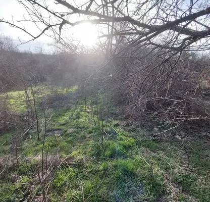 Photo 5 — Plot in Oblast Veliko Tyrnovo, Kilifarevo
