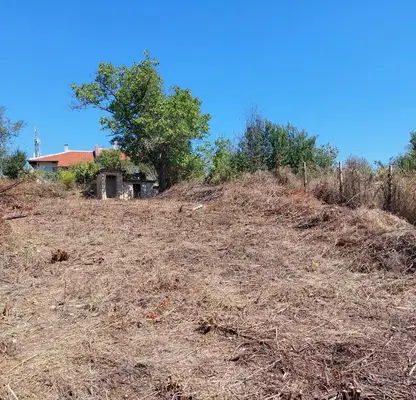 Photo 5 — Plot in Oblast Veliko Tyrnovo, Kilifarevo