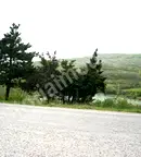 Парцел във Велико Търново, Лясковец