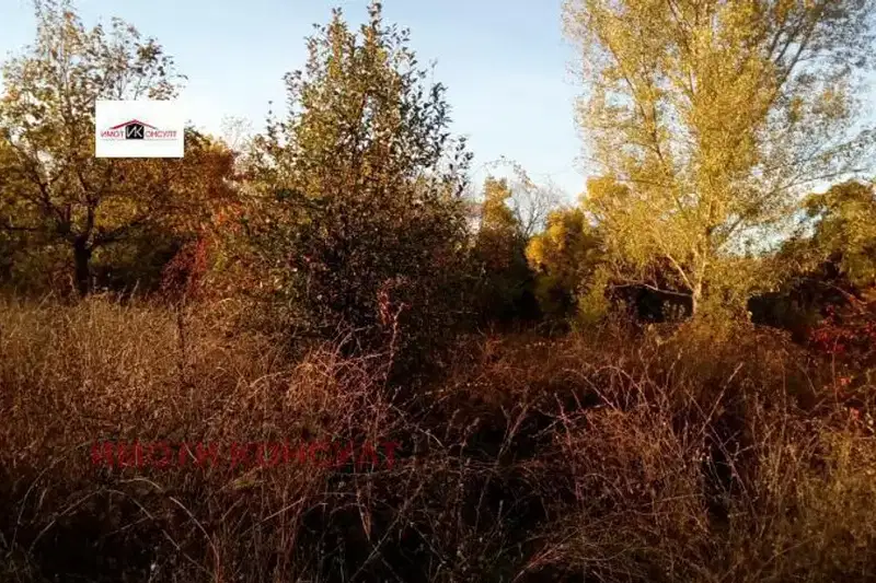 Парцел във Велико Търново, Лясковец