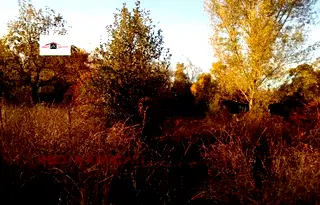 Парцел във Велико Търново, Лясковец