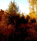 Парцел във Велико Търново, Лясковец