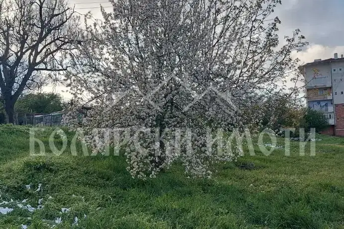 Парцел във Велико Търново, Лясковец
