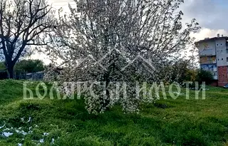 Парцел във Велико Търново, Лясковец