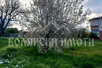 Парцел във Велико Търново, Лясковец