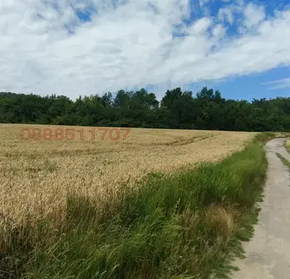 Снимка 4 — Парцел във Велико Търново, Лясковец