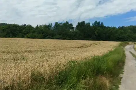 Парцел във Велико Търново, Лясковец