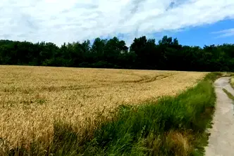 Парцел във Велико Търново, Лясковец