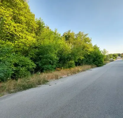 Photo 5 — Plot in Oblast Veliko Tyrnovo, Pavlikeni