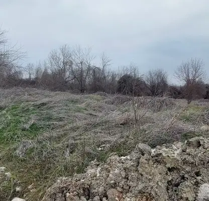 Photo 3 — Plot in Oblast Veliko Tyrnovo, Pavlikeni