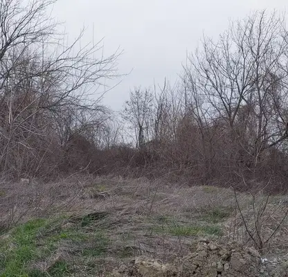Photo 5 — Plot in Oblast Veliko Tyrnovo, Pavlikeni