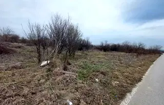 Парцел във Велико Търново, Павликени