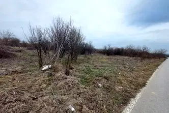 Парцел във Велико Търново, Павликени