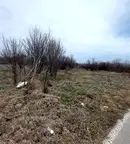 Парцел във Велико Търново, Павликени