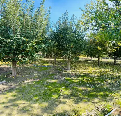 Photo 3 — Plot in Veliko Tyrnovo, Strajica