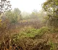 Снимка 2 — Парцел във Велико Търново, Златарица