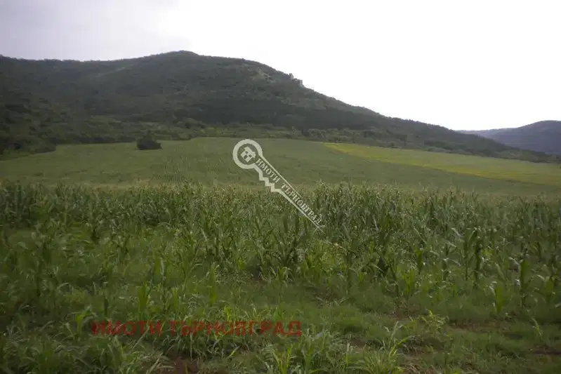 Plot in Oblast Veliko Tyrnovo, яз. Ал. Стамболийски