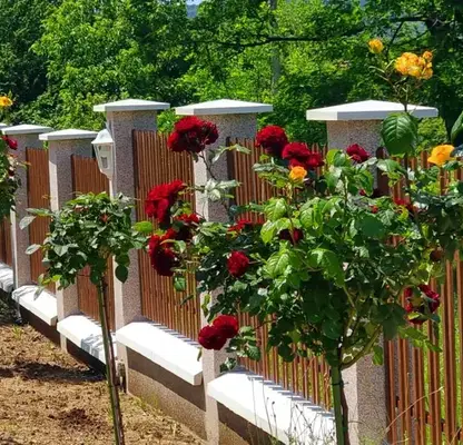 Снимка 5 — Парцел във Велико Търново, с. Арбанаси