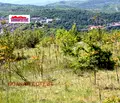 Снимка 2 — Парцел във Велико Търново, с. Арбанаси