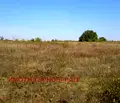 Снимка 4 — Парцел във Велико Търново, с. Арбанаси