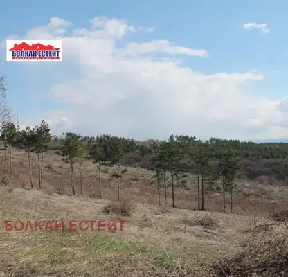 Photo 5 — Plot in Oblast Veliko Tyrnovo, Arbanasi
