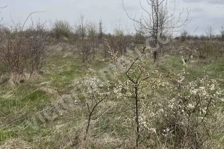 Парцел във Велико Търново, с. Арбанаси